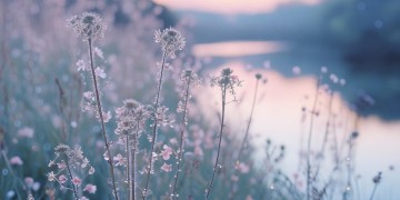 不要一张囧字脸出自哪首歌？