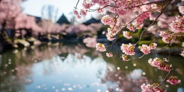 杭州女孩写的歌究竟叫什么？