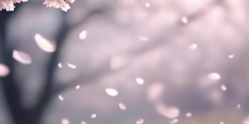 他不配陪你吃苦究竟是哪首歌？