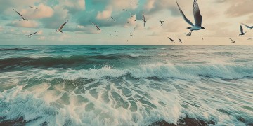 你听海鸥的笑淹没出自哪首歌？