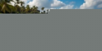 酷狗为什么没有上传的歌？