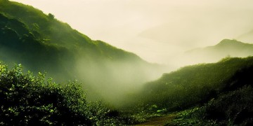 一路的辛酸和苦楚究竟是哪首歌？