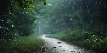 下雨了，用什么歌来表达这份心情？