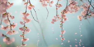 爱莫愁爱莫愁究竟出自哪首歌？