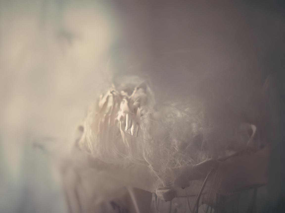 胸骨有多脆弱究竟是哪首歌? 胸骨有多脆弱究竟是哪首歌?