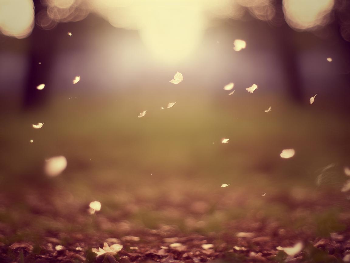 吹落了思乡的尘出自哪首歌？