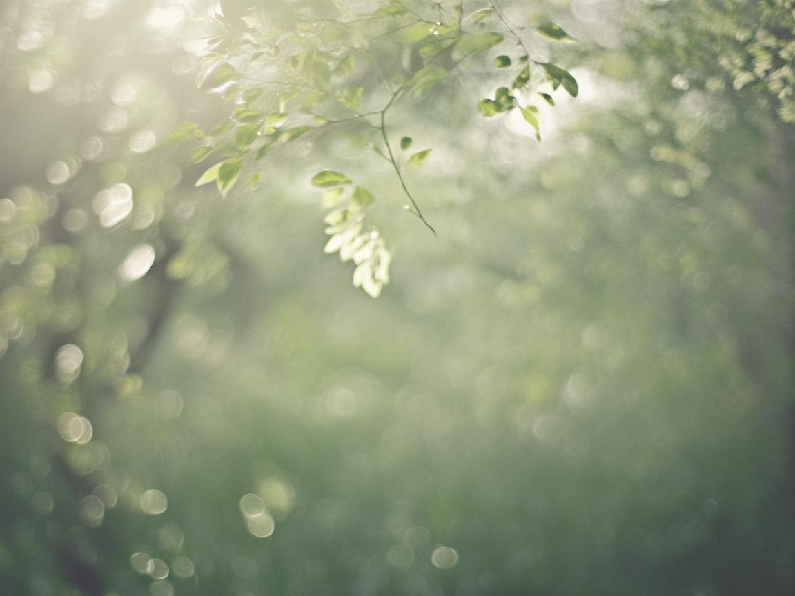 吹过你脸颊这句歌词出自哪首歌？