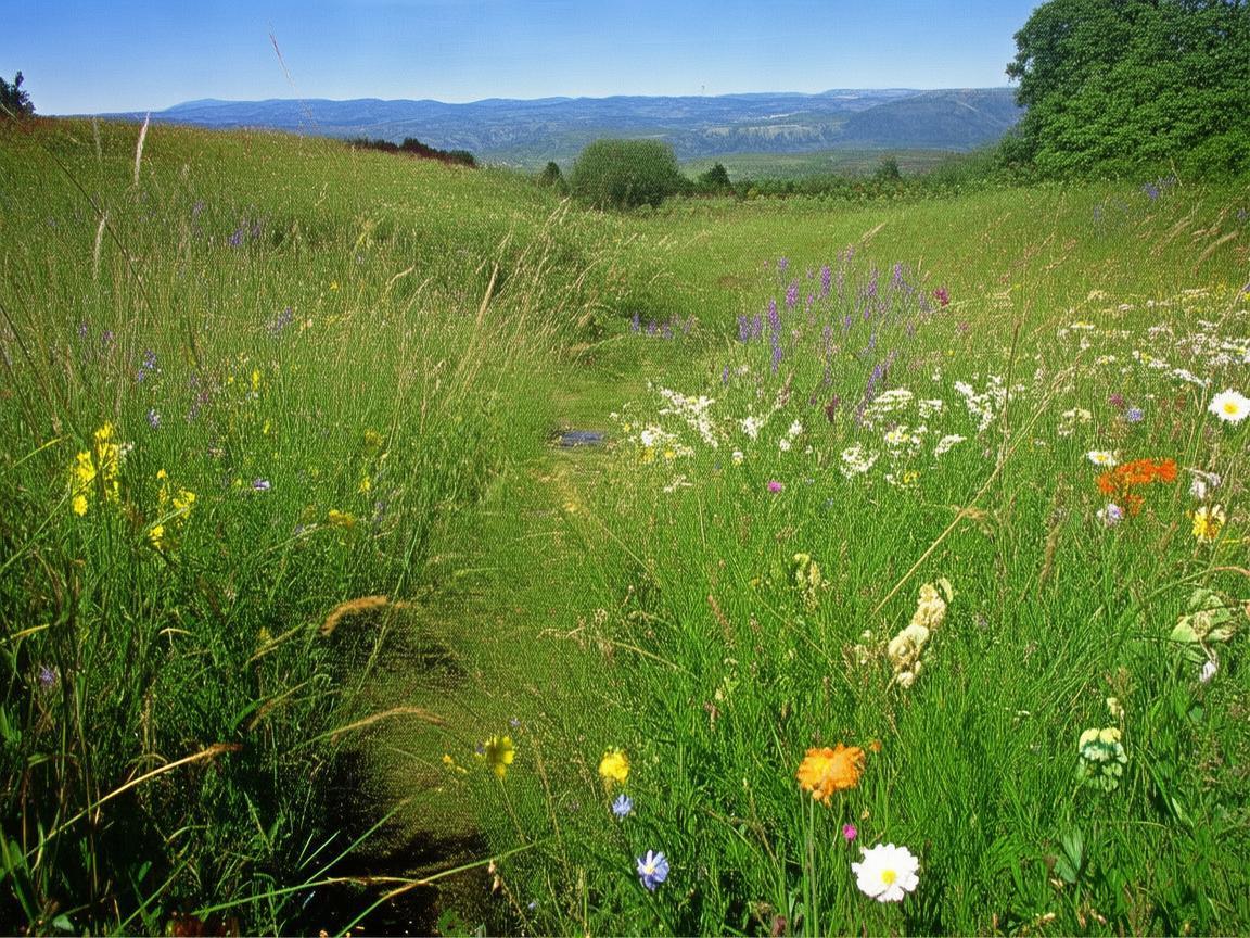 揣着梦想走究竟是哪首歌？